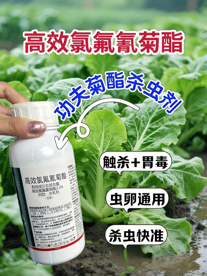 澄迈代生中心:农药对供卵代生妈妈的危害